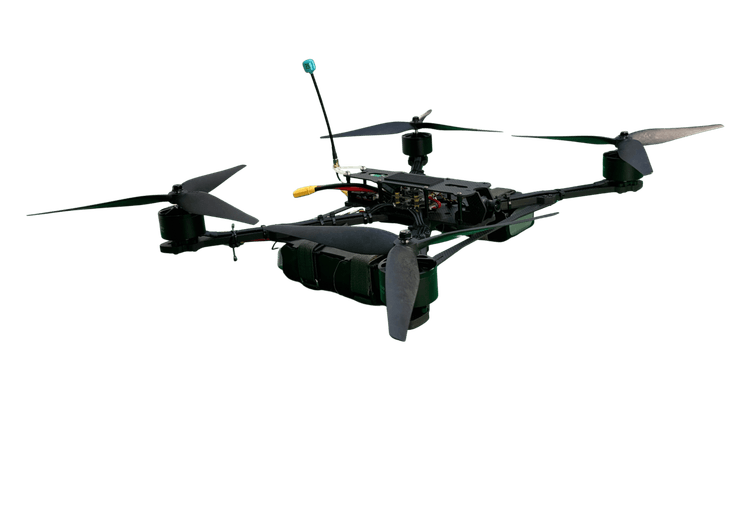 Milbird Jay R13 (DR-811550)